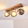 Glostrup Taklampa, Takstrålkastare Brun, Färg i rostfritt stål, 3-ljuskällor