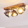 Glostrup Taklampa, Takstrålkastare Brun, Färg i rostfritt stål, 3-ljuskällor
