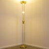 Rom strålkastare, Golvlampa LED Mässing, 2-ljuskällor