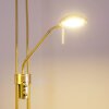 Rom strålkastare, Golvlampa LED Mässing, 2-ljuskällor