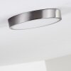 Broglen Taklampa LED Nickel matt, 1-ljuskällor