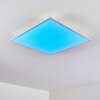 Antria Taklampa, Panel LED Vit, 1-ljuskällor, Färgväxlare