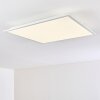 Antria Taklampa, Panel LED Vit, 1-ljuskällor, Färgväxlare