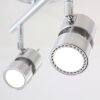 Steinhauer Natasja Taklampa LED Färg i rostfritt stål, 2-ljuskällor