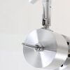 Steinhauer Natasja Taklampa LED Färg i rostfritt stål, 2-ljuskällor