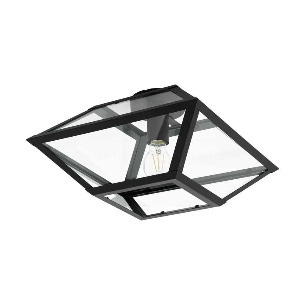 Eglo Lampor CASEFABRE Taklampa Svart, 1-ljuskällor main product photo