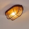 Catawba Taklampa Rostfärger, 1-ljuskällor