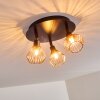 Grönhöj Taklampa, Takstrålkastare Svart, 3-ljuskällor
