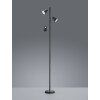 Trio Lampor NARCOS Golvlampa LED Svart, 3-ljuskällor