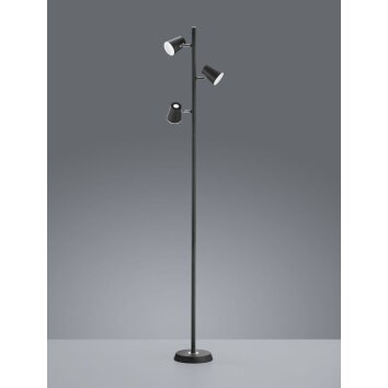 Trio Lampor NARCOS Golvlampa LED Svart, 3-ljuskällor