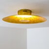 Nipissing Taklampa LED Guld, 1-ljuskällor