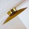 Nipissing Taklampa LED Guld, 1-ljuskällor