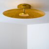 Nipissing Taklampa LED Guld, 1-ljuskällor