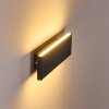 Obion Up & Down Lampa, Vägglampa LED Antracit, 2-ljuskällor