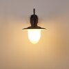 Surnu vägglampa utomhus, Vägglampa Svart, 1-ljuskällor