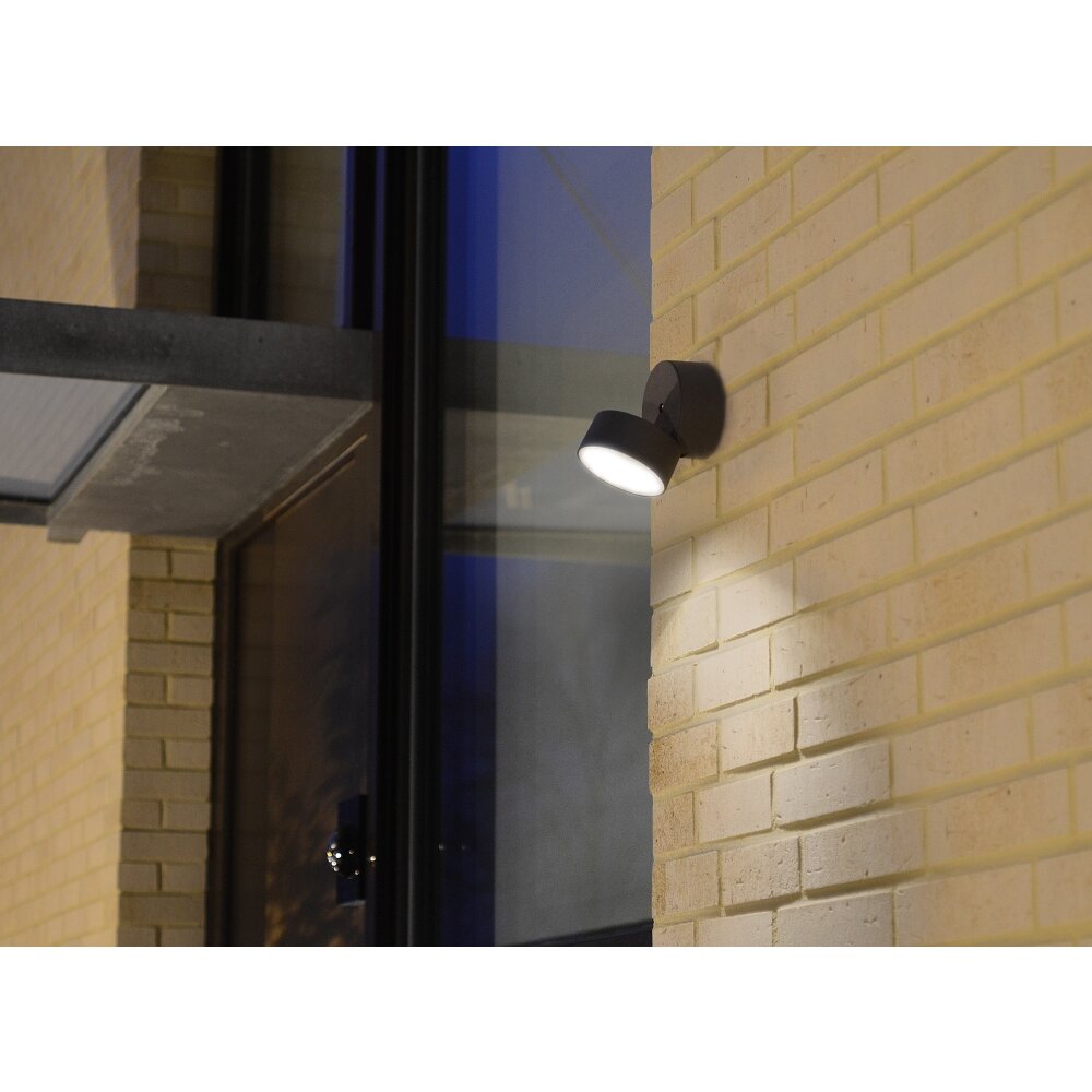 Lutec Lampor TRUMPET Vägglampa LED Antracit, 1-ljuskällor main product photo