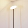 Wonsbek strålkastare, Golvlampa LED Nickel matt, 1-ljuskällor