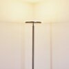 Wonsbek strålkastare, Golvlampa LED Nickel matt, 1-ljuskällor