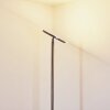 Wonsbek strålkastare, Golvlampa LED Nickel matt, 1-ljuskällor