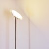 Wonsbek strålkastare, Golvlampa LED Nickel matt, 1-ljuskällor