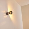 Safari Vägglampa, Läslampa Svart, 1-ljuskällor