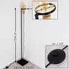 Okudari Golvlampa Guld, Mässing, Svart, 1-ljuskällor