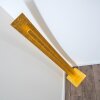 Petrolia Golvlampa LED Guld, 1-ljuskällor