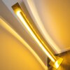 Petrolia Golvlampa LED Guld, 1-ljuskällor