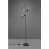 Trio Lampor Tosh Golvlampa, Golvlampa LED Svart, 3-ljuskällor