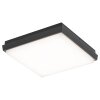 LCD 5060 Taklampa LED Svart, 1-ljuskällor
