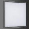 LCD 5060 Taklampa LED Svart, 1-ljuskällor