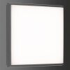 LCD 5060 Taklampa LED Svart, 1-ljuskällor