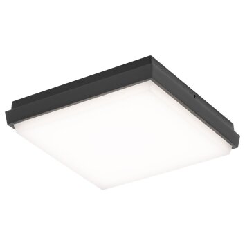 LCD 5060 Taklampa för utomhusbruk, Taklampa LED Svart, 1-ljuskällor