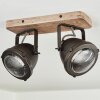 Glostrup Taklampa, Takstrålkastare Brun, Färg i rostfritt stål, 2-ljuskällor